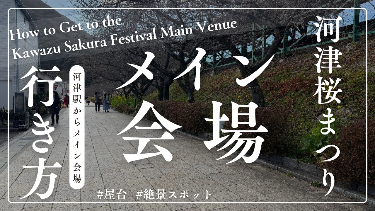 【河津桜まつり】お祭りの場所　河津駅からメイン会場への行き方　How to Get to the Kawazu Sakura Festival Main Venue