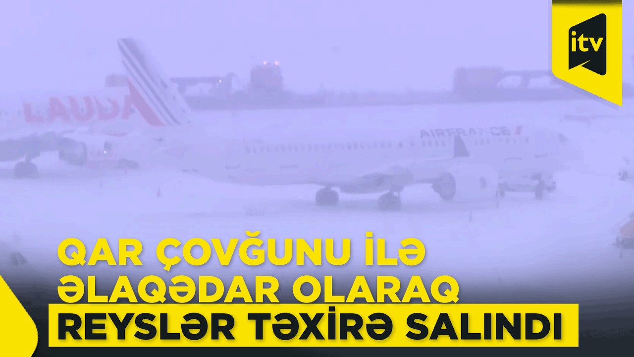 Vyana hava limanı fəaliyyətini müvəqqəti dayandırdı