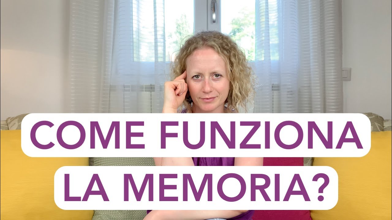 Le fasi della memoria. Come funziona la memoria?