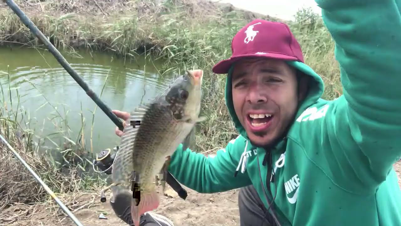مجزرة صيد فى كفرالشيخ بالمجبرى A hunting massacre in Kafr El Sheikh in Al-Majbry
