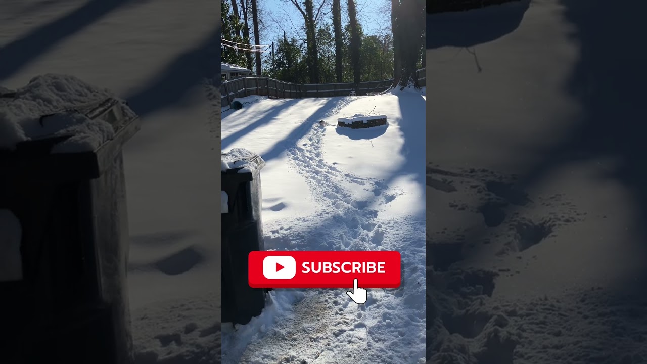 #puppers got stuck in the snow. #nugget 