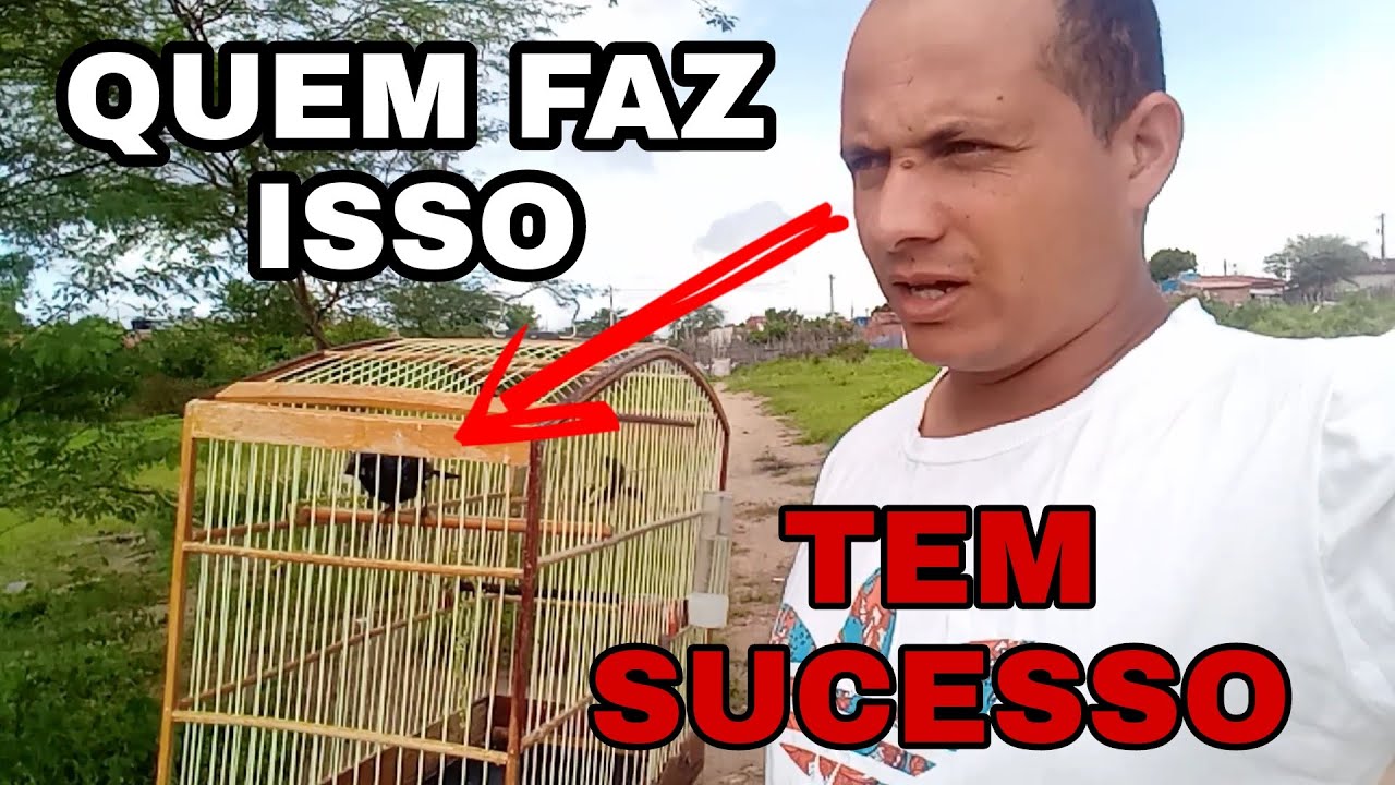 Qual &eacute; a coisa mais importante no MANEJO DE AZUL&Atilde;O? veja nesse v&iacute;deo