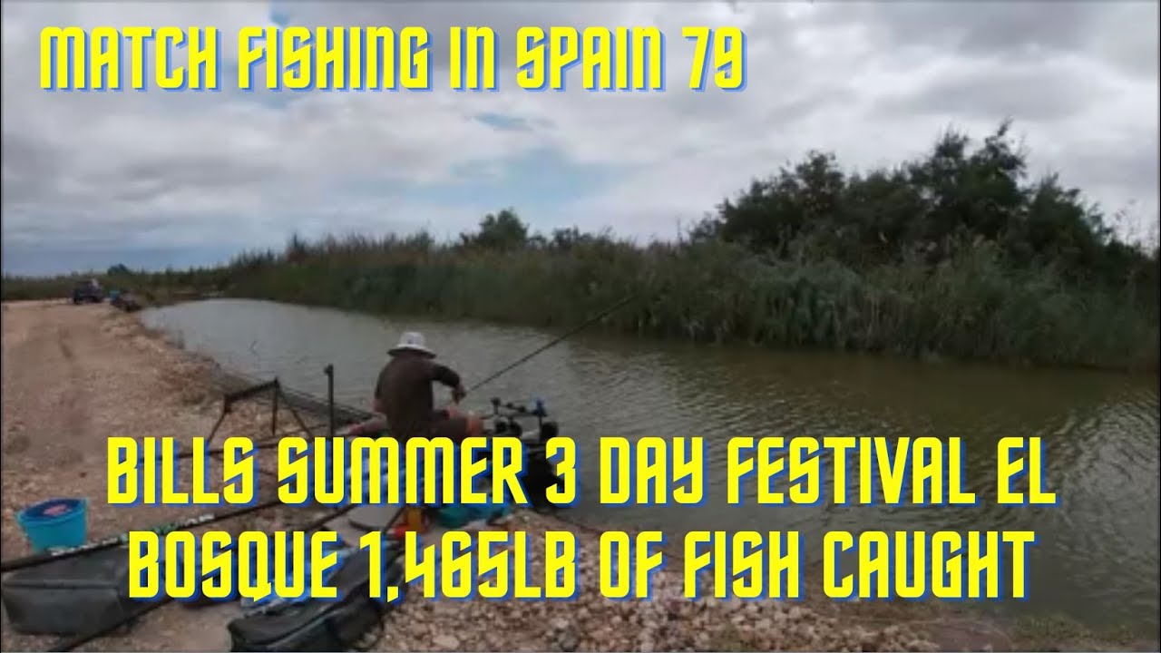 Match fishing in Spain 79 3 day summer festival at El Bosquet