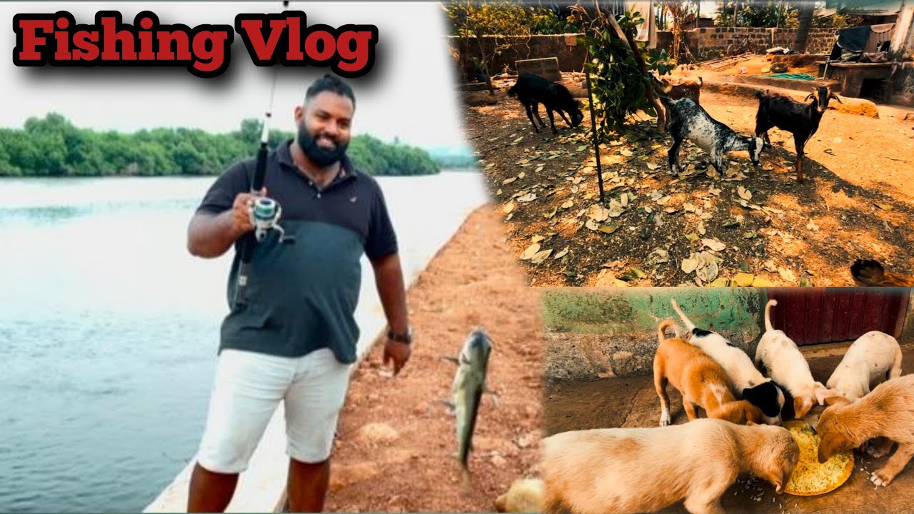 Went For Fishing After Long Time | Spend Some Time With Animals #dailyvlog