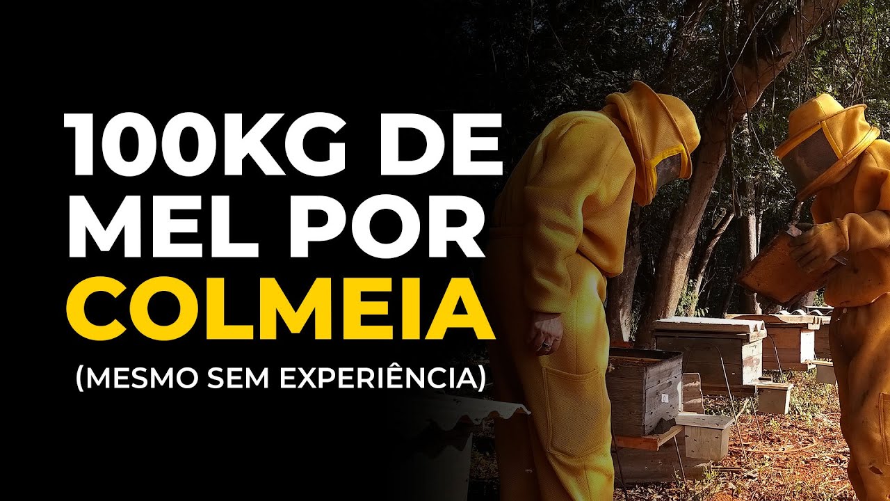 Como eles PRODUZEM 100kg de MEL por COLMEIA /ano | Mesmo SEM EXPERIÊNCIA com APICULTURA