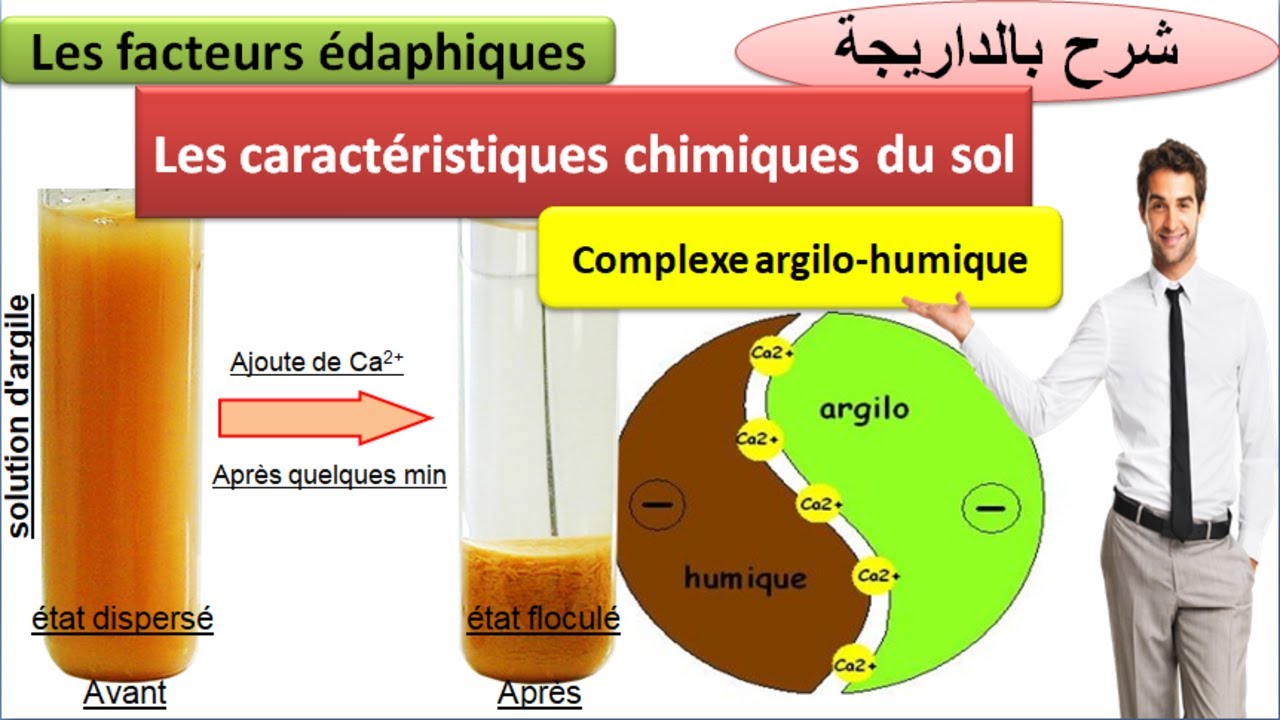 le complexe argilo-humique / les propri&eacute;t&eacute;s chimiques du sol TCSF (شرح بالداريجة)