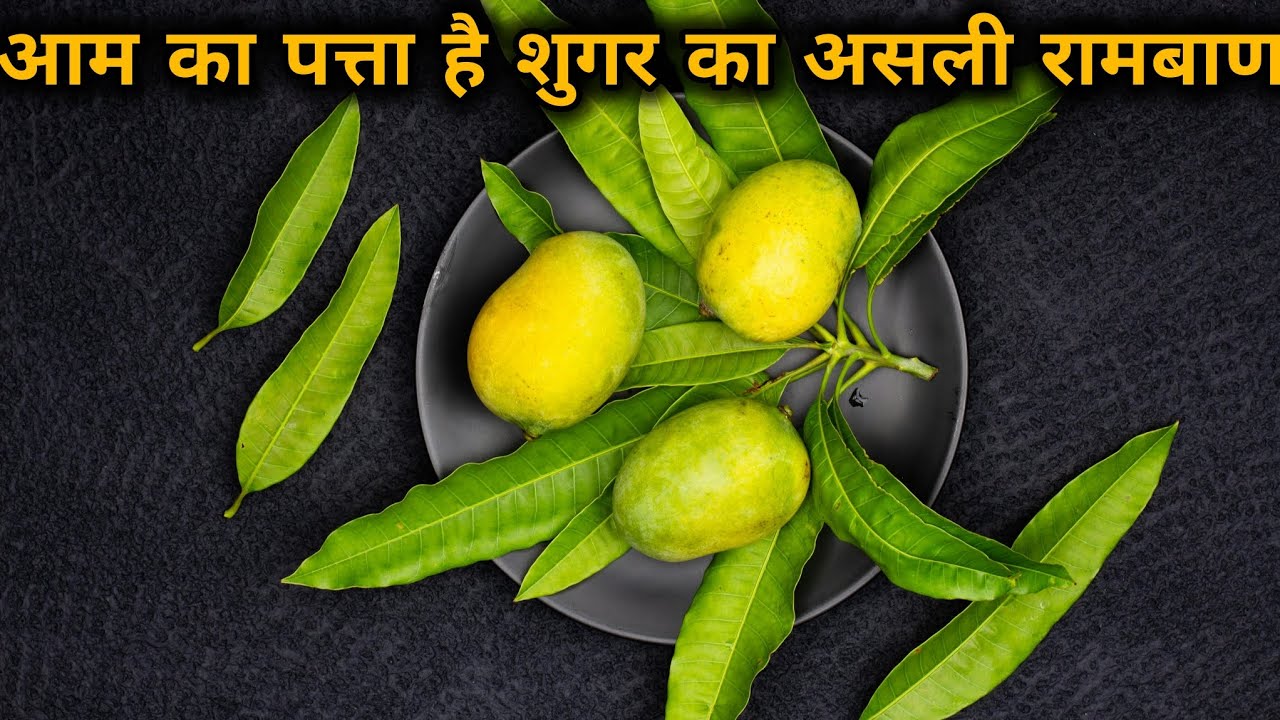 Benefits of Mango Leaf | आम के पत्तों के गुणकारी लाभ | Nutrity