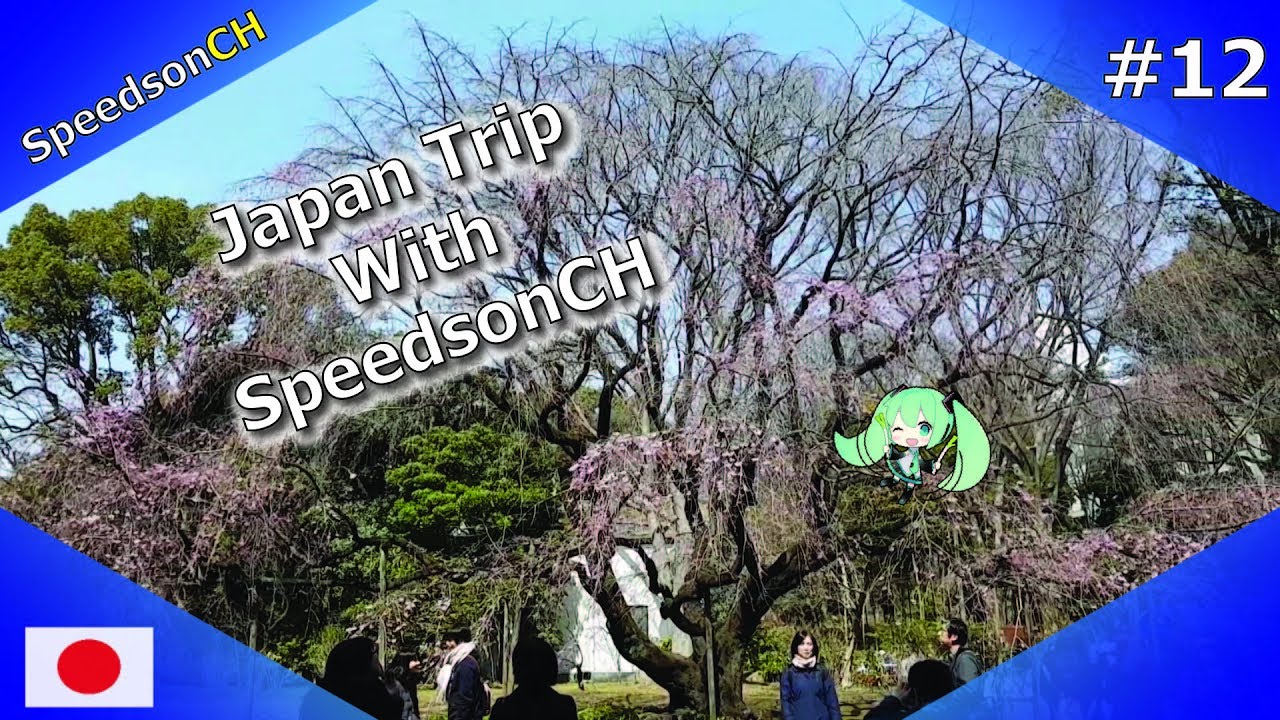 Japan Trip With SpeedsonCH #12 | มาชมซากุระก่อนกำหนด เดินชมสวน