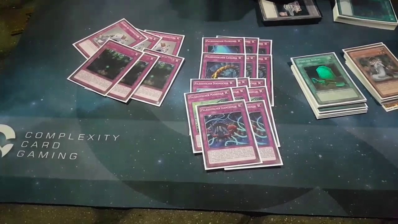 Joshua Schmidt 1st Place YCS Prague 2017 60 Card Paleozoic Frog Deck Profile!
