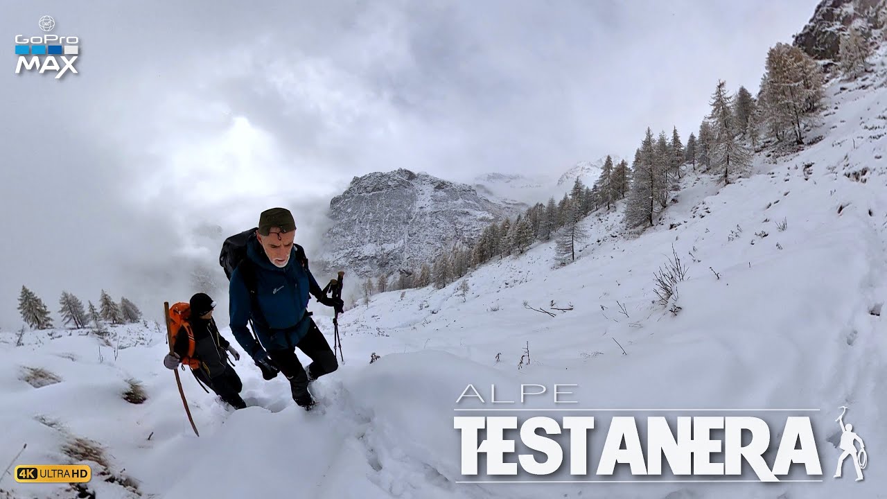 alpe TESTANERA, hiking invernale Alagna Valsesia