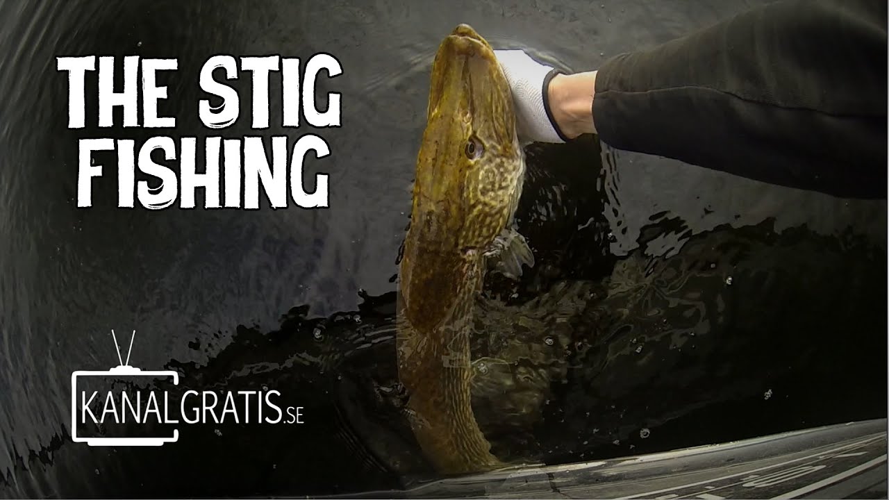 Pelagic Pikes on Flatnose Shad | The Stig Fishing