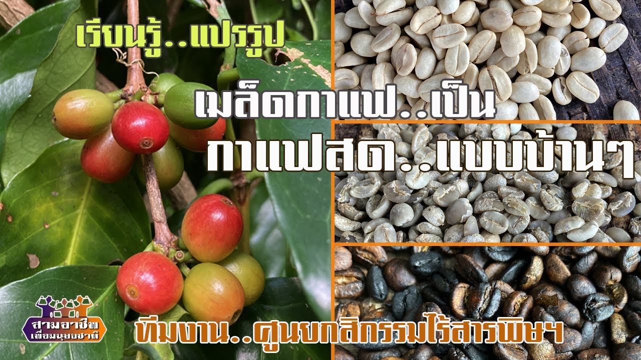 เรียนรู้..แปรรูป 