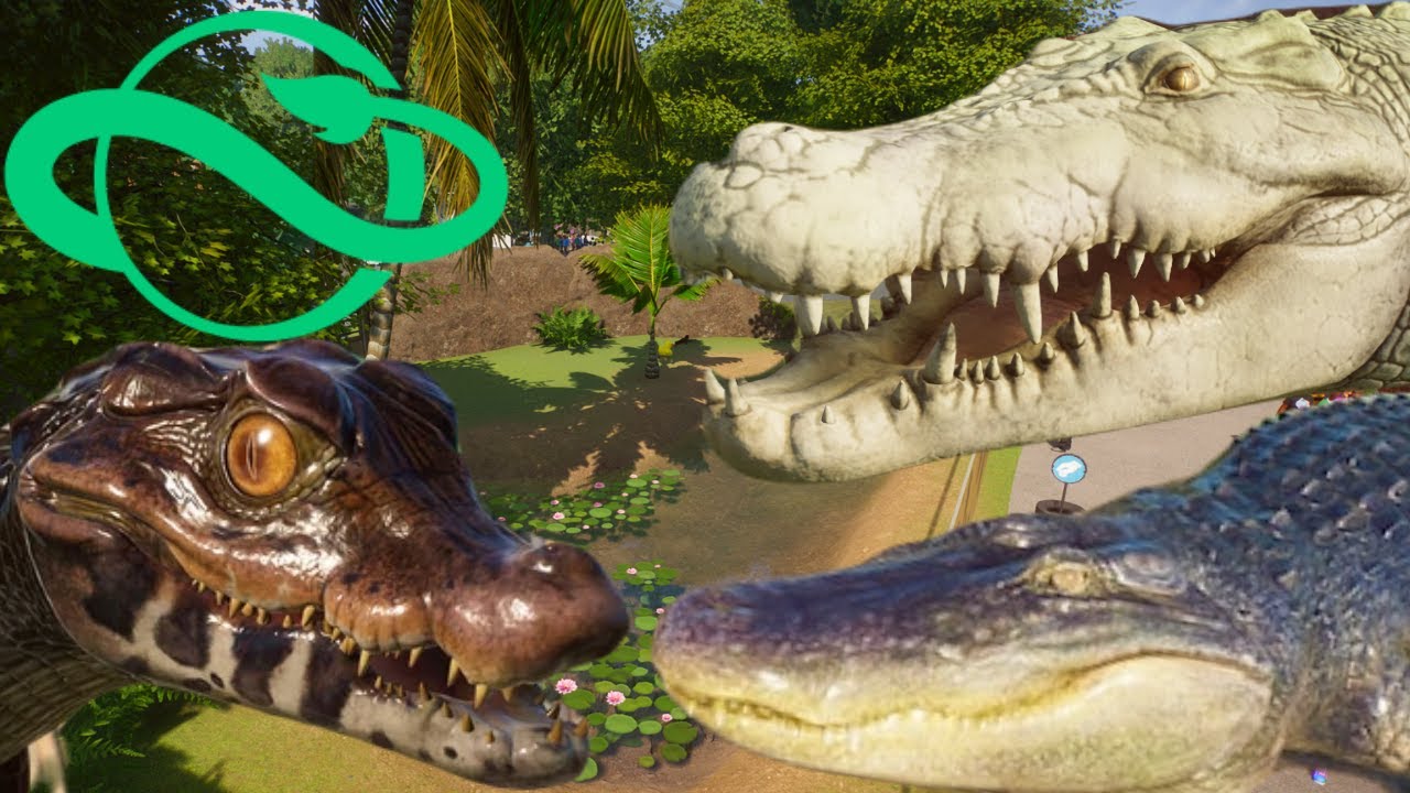 Planet Zoo All Crocodiles and New Albino Crocodiles in the Zoo! - Ep28
