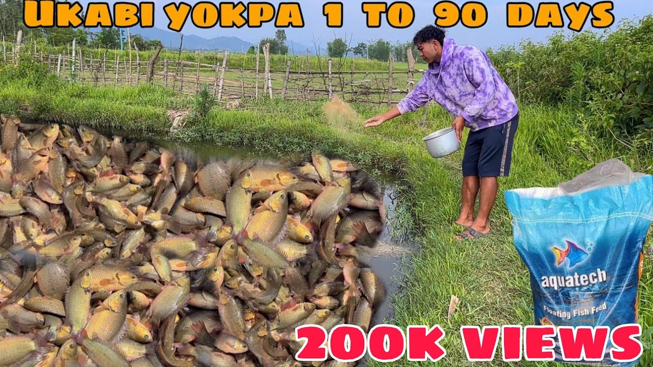 Ukabi yokpa 1 to 90 days 🐟🐟🐟🐠🐠🐠