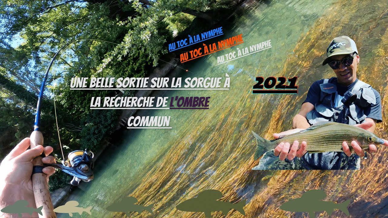 P&ecirc;che de l'ombre commun sur la sorgue #ilesursorgue #tocnymphe.#2021 #fishingaventurem&eacute;diterrane06