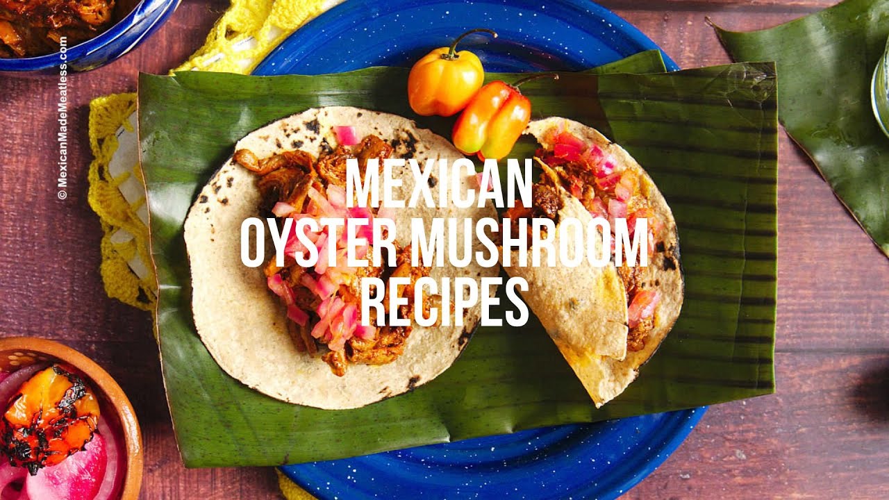 Mexican Oyster Mushroom Recipes  #oystermushrooms #oystermushroom