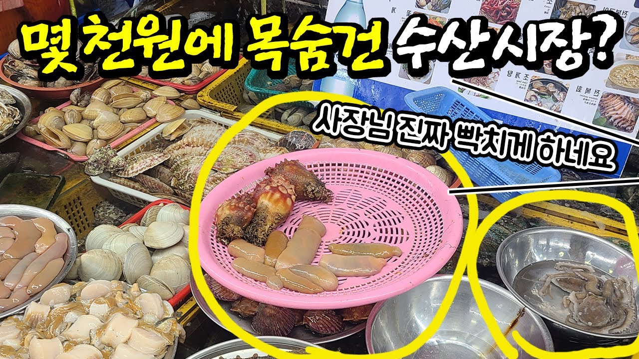 단골도 내치는 수산시장의 선 넘은 판매 행위, 이대로 괜찮은가?(입문철TV EP.025)