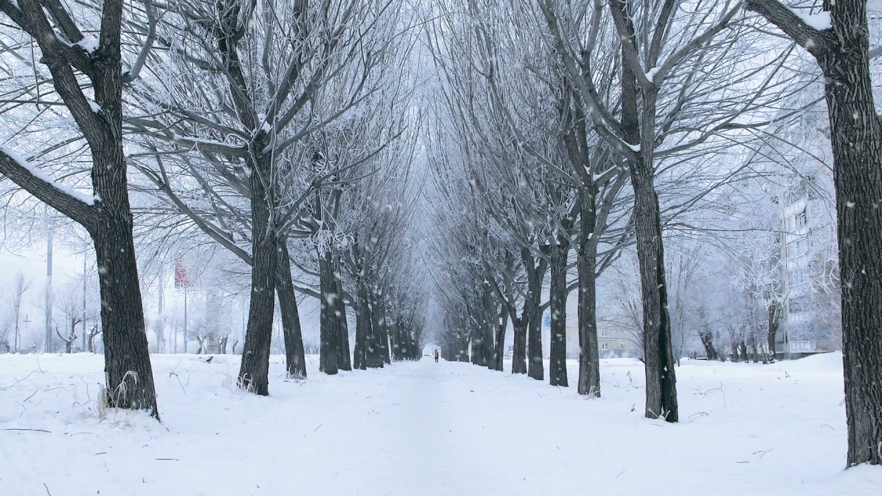 Snow Covered Winter Alley Free Background Videos, No Copyright | All Background Videos