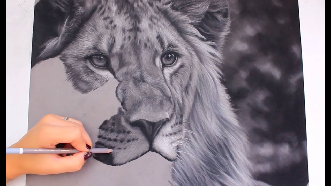 Lion Speeddrawing | Svea T. Art