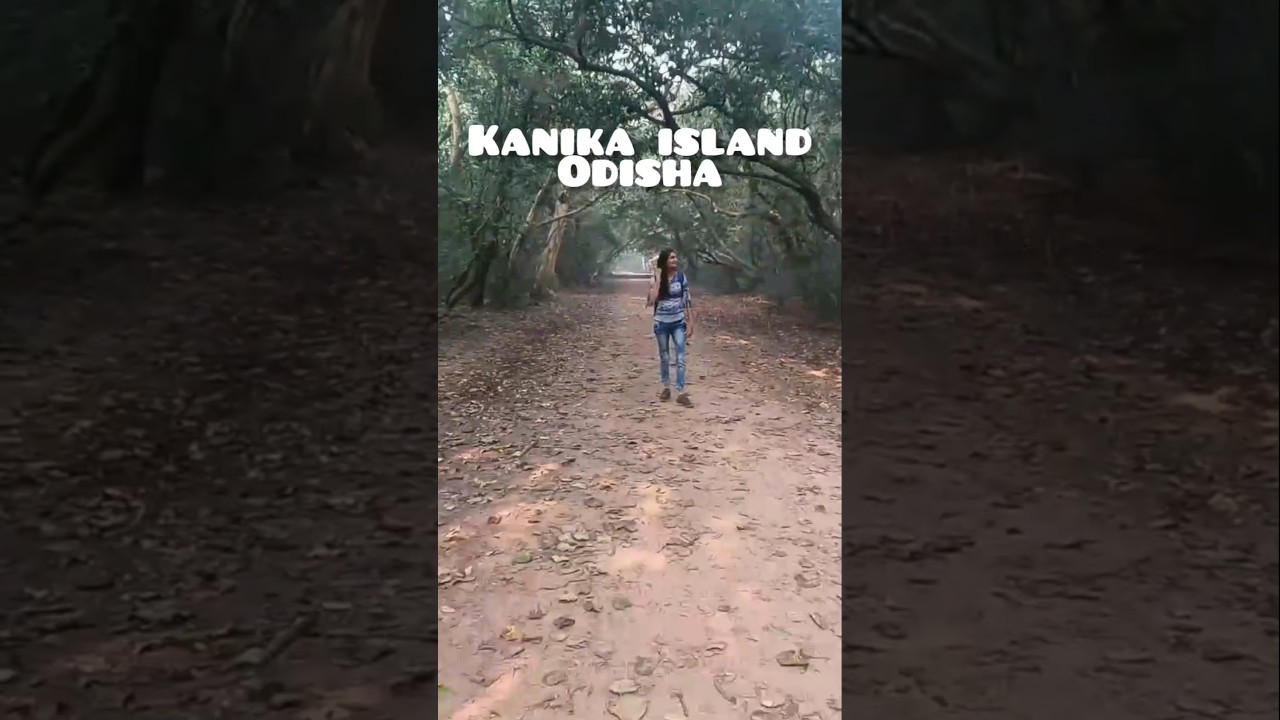 Incredible India's best kept secret Odisha #odisha #kanika