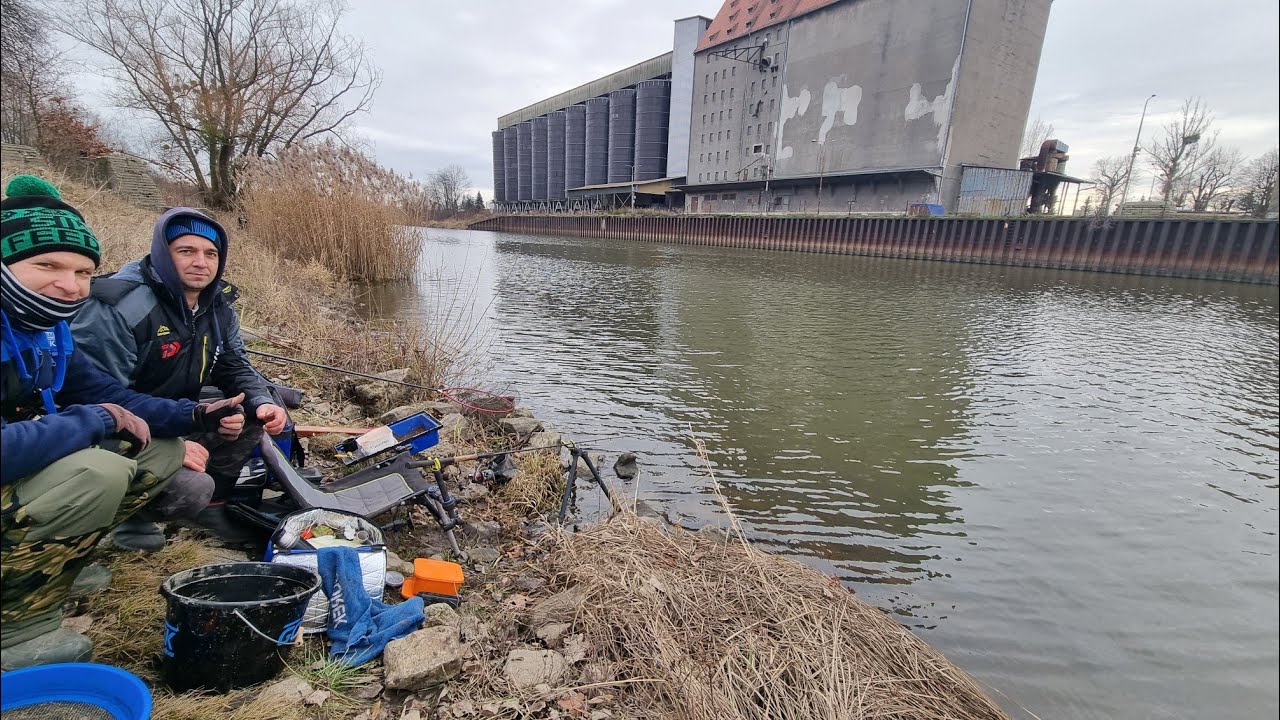 369 FEEDER ELEWATORY OŁAWA - KOMBINEZON PROLOGIC