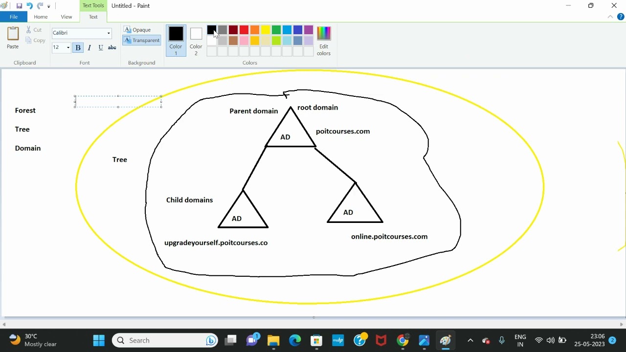 What is Forest , Tree and Domain in Active Directory