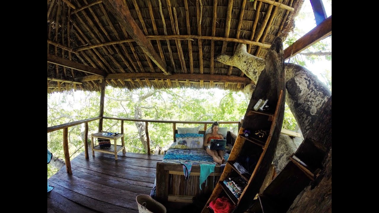 Tree House in a Baobab Tree overlooking the Indian Ocean