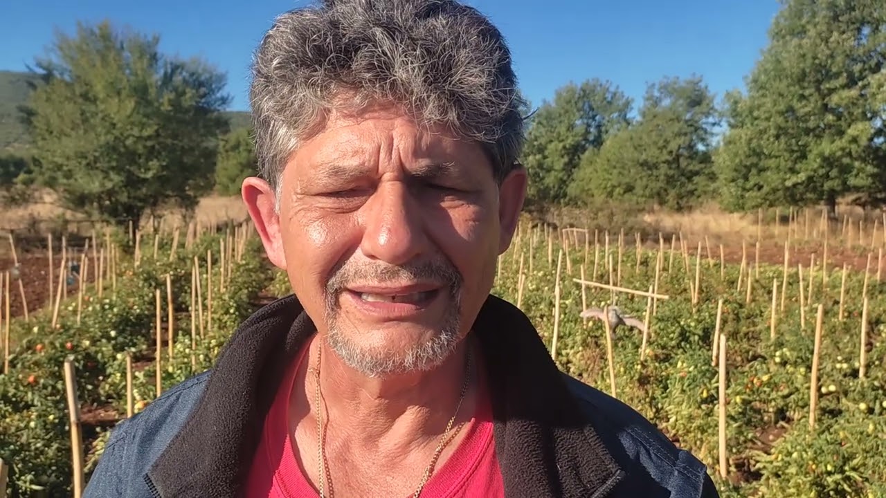 Τα βήματα για άνυδρη καλλιέργεια 