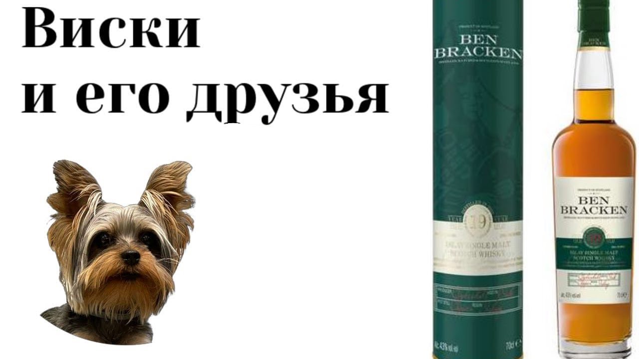 Дегустация Ben Bracken 19 Islay