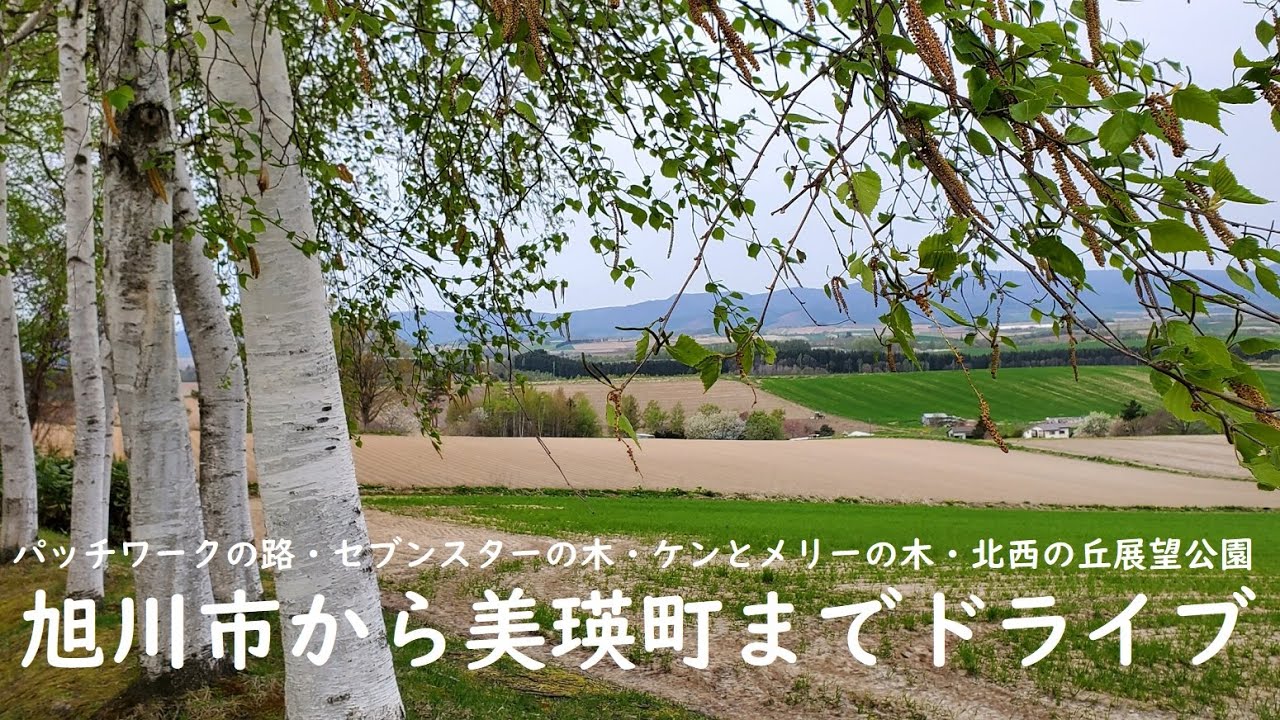 【北海道】旭川市から美瑛町までドライブ