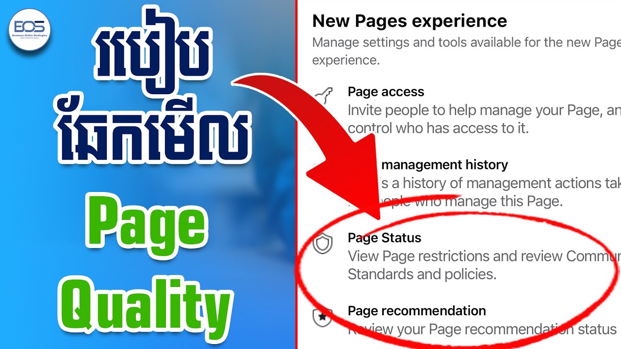 របៀបឆែកមើលថាផេកយើងមានបញ្ហាអ្វីអត់?/ How to check page status