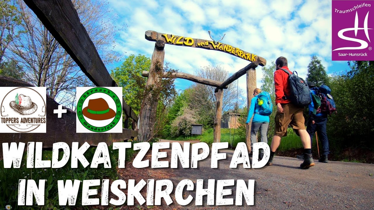 Wildkatzenpfad in Weiskirchen mit Strauch´s Wanderlust | 3 wilde Stubentiger unterwegs