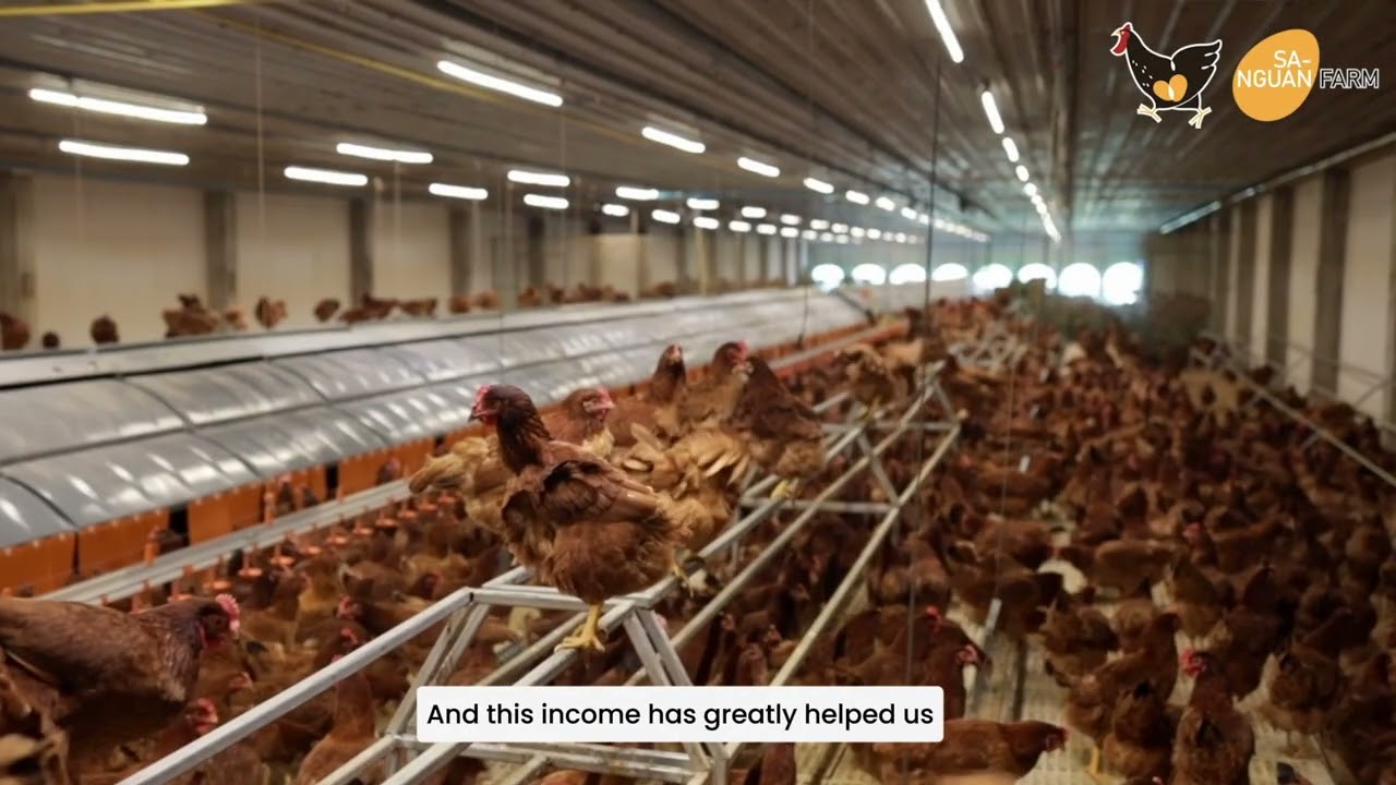 Transforming Egg Production in Thailand Through Cage-free Credits: Producer Testimonial
