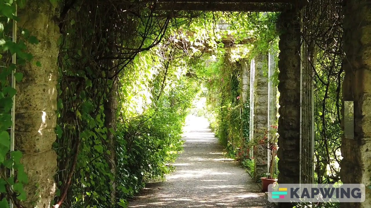 Song: A New Start (The Garden of Eden) #music