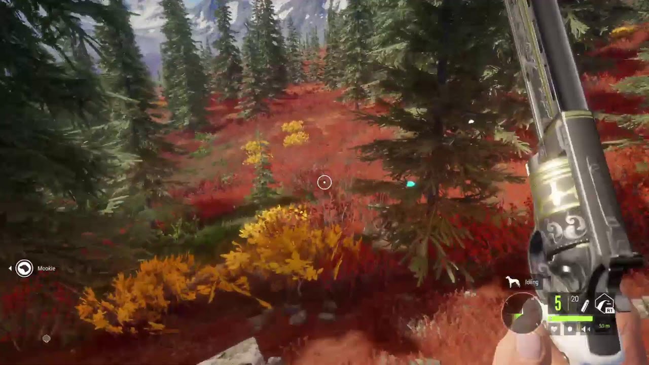 Thehunter: Call of the Wild livestream
