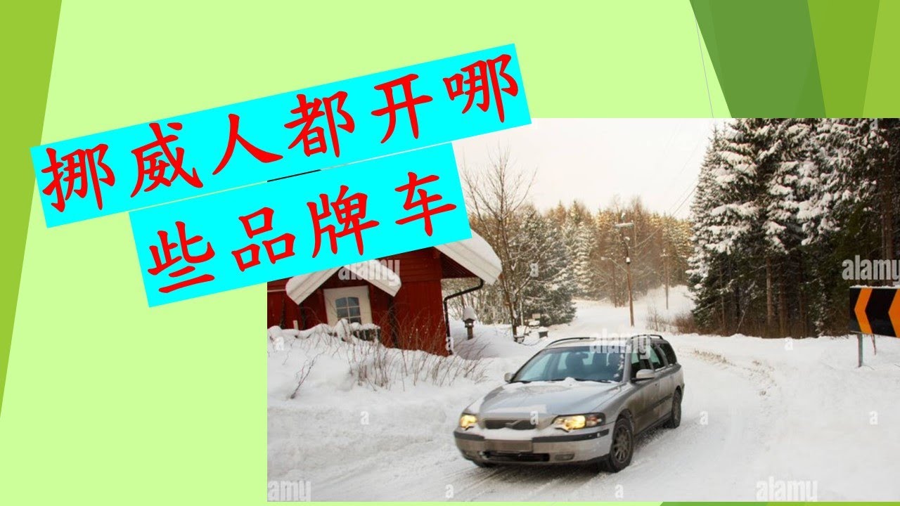 挪威人都开哪些车