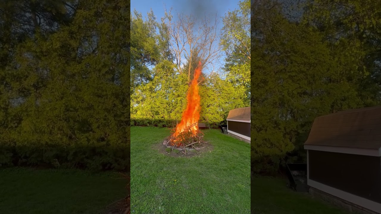 only you can prevent forest fires#fire #camping #fireworks #sunset #wood #outdoors