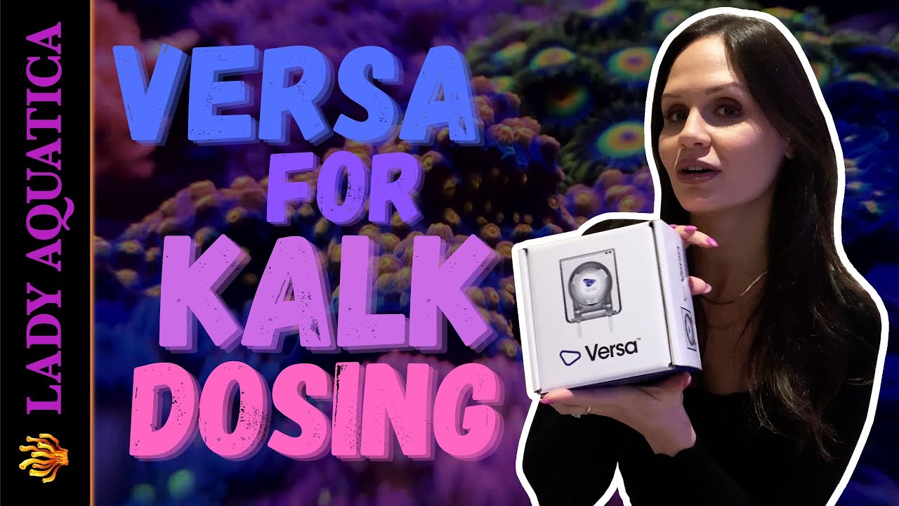 First Impression | Ecotech Versa Unboxing & Set Up