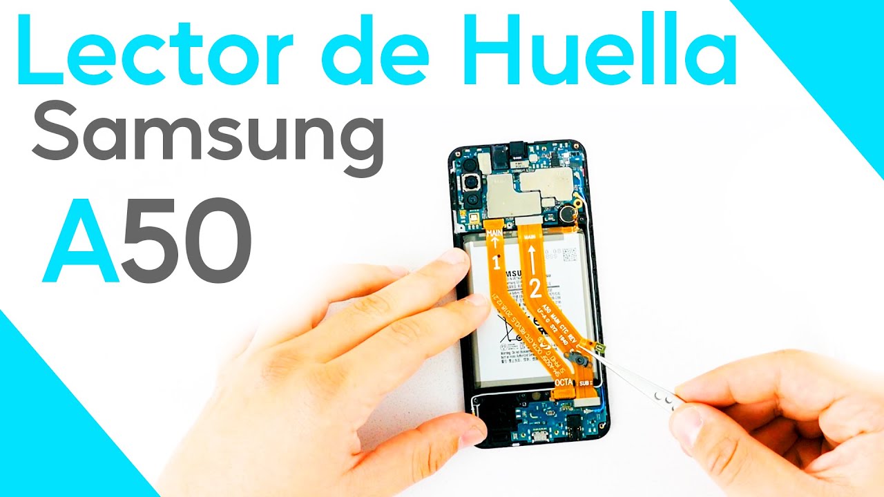 Cómo Reparar el Flex de HUELLA | Samsung Galaxy A50
