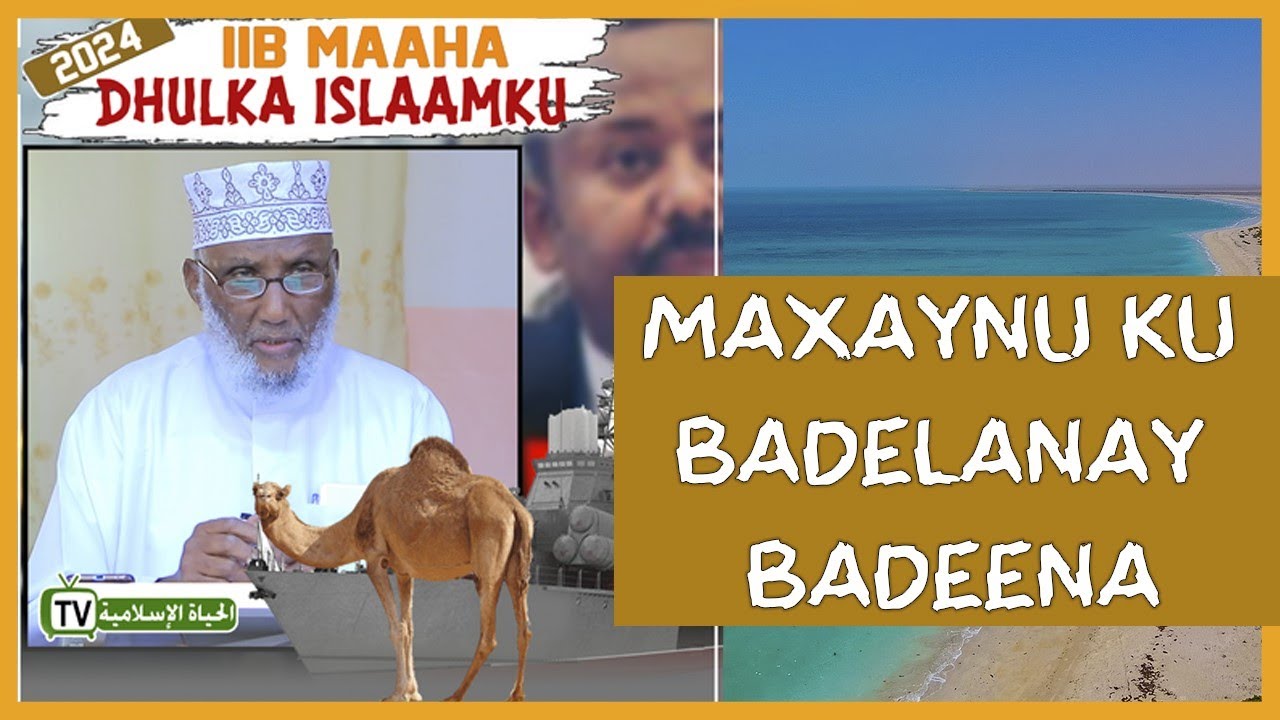 Maxaynu Ku Badelanay Badeenii | Wax ka Ogow Loolanka Udhaxeeyey Soamaalida Iyo Itoobiyaanka |