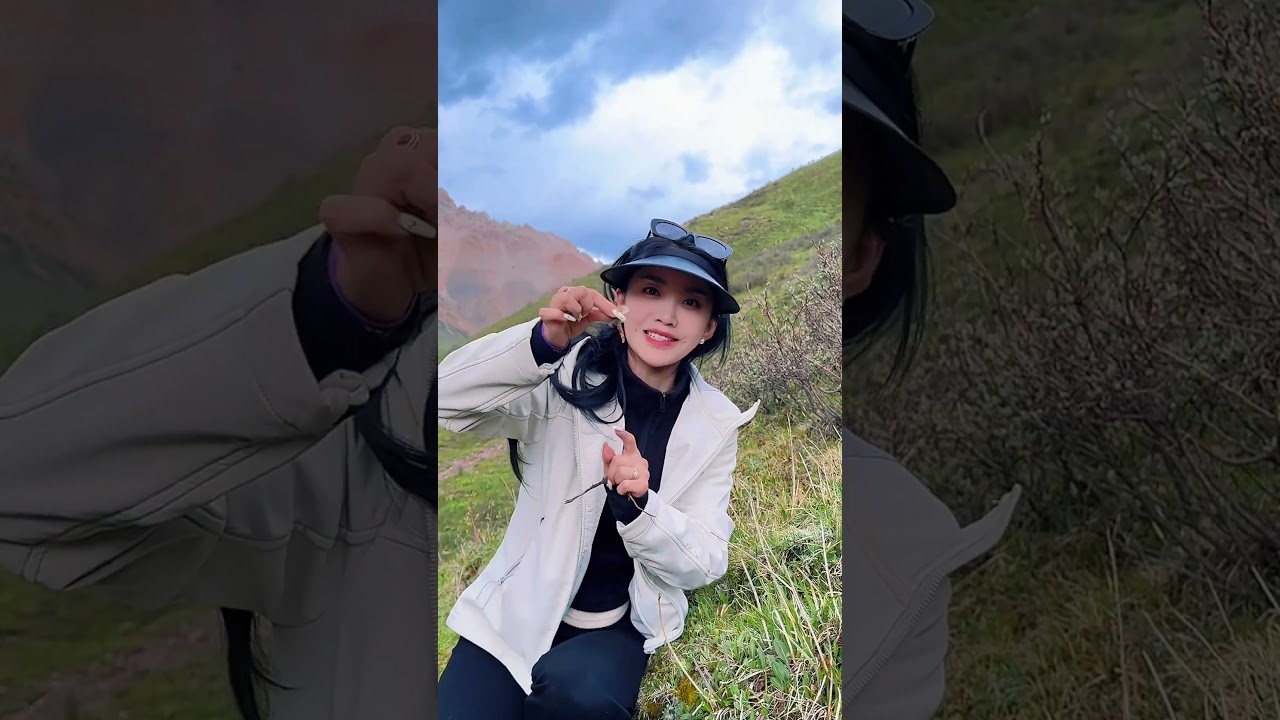 虫草季 第一次采挖 没上太高的山 \挖到了一根 特别特别珍贵🎈俄才仁