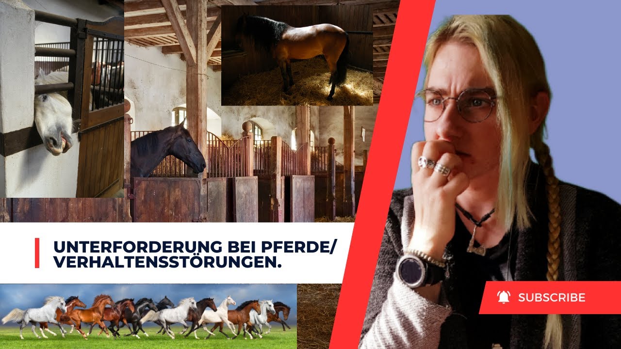 Unterforderung bei Pferde, Verhaltensstörungen.