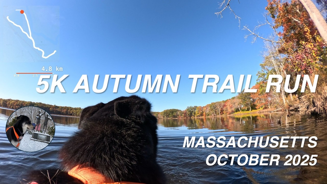 Husky Virtual Run 4K - Relaxing 5 km Autumn Trail Run (Massachusetts)