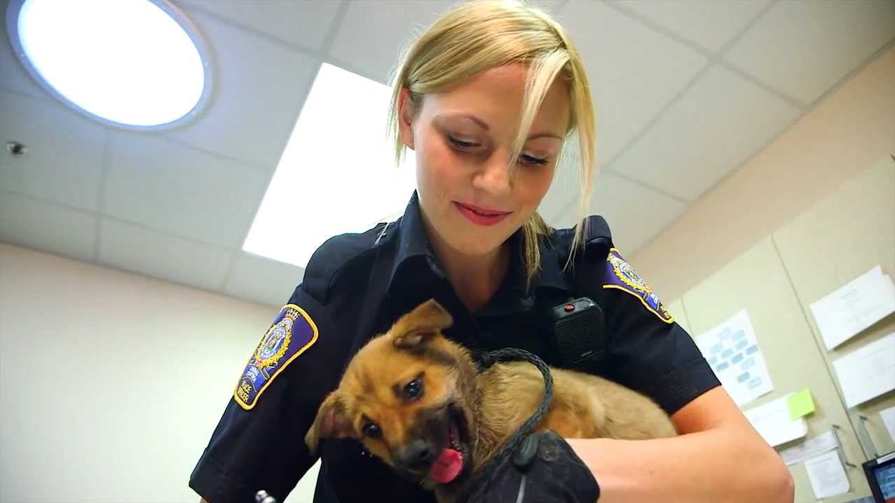 Animal Health