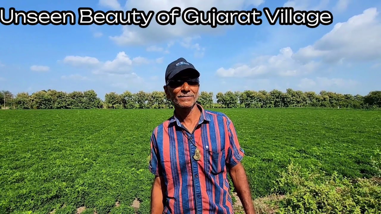 Unseen Beauty of Gujarat India Village Area | Patanvav Vanthali Way From farms | @syedkasimkadri