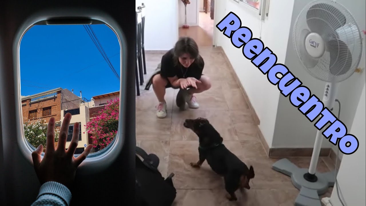 AL FINNNNNNNNNNNNN ARGENTINA😭😭 - Juli Sparkling Vlogs