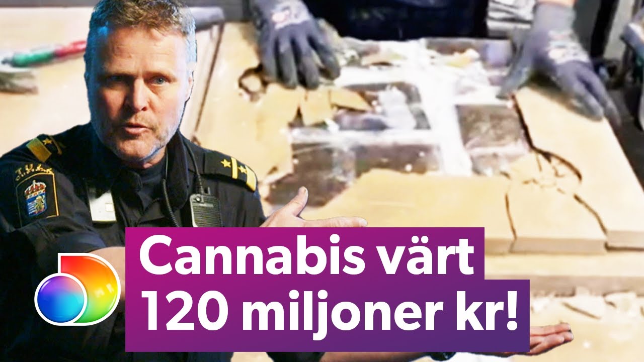 Svenska tullen hittar cannabis v&auml;rt 120 miljoner kronor | Gr&auml;nsbevakarna Sverige | discovery+