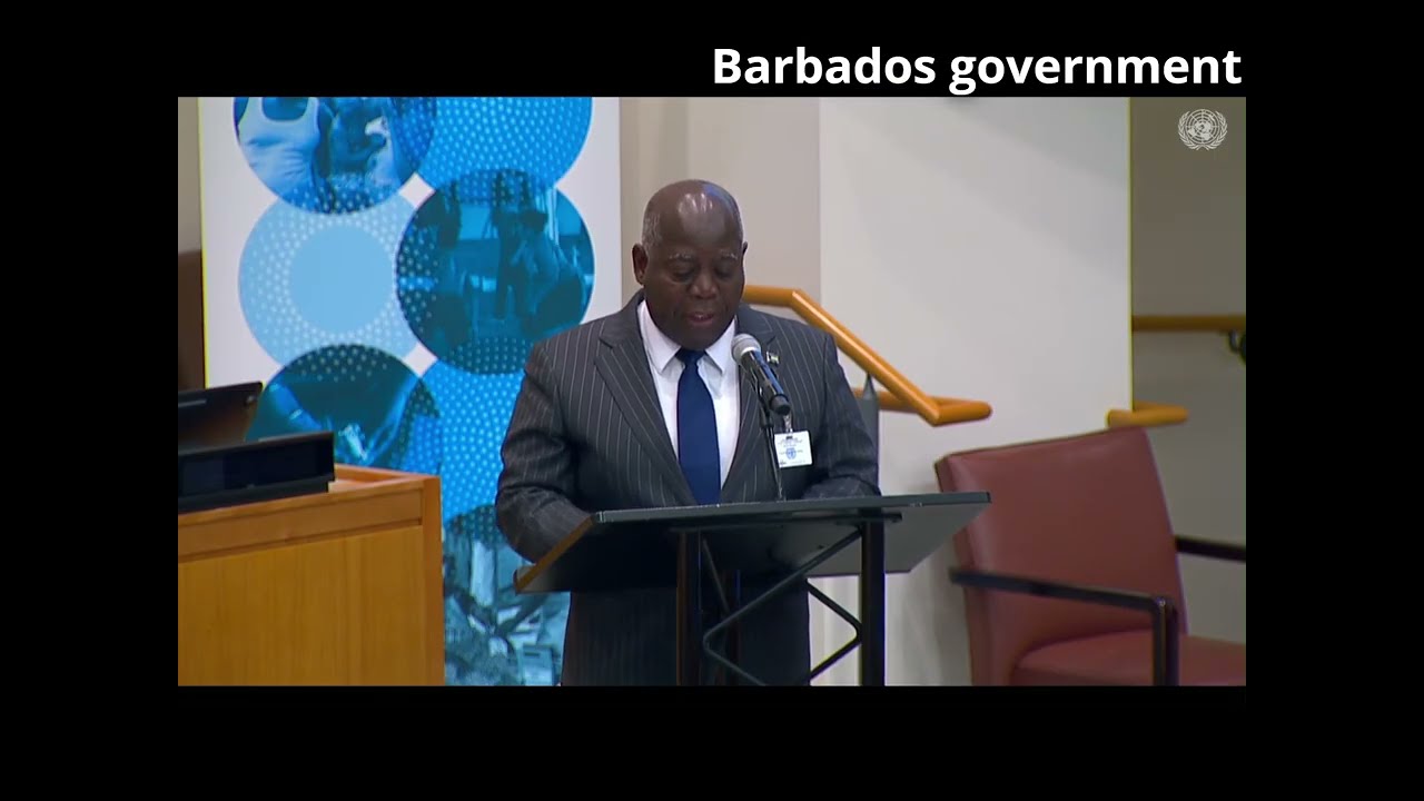 GMHAN Advocates and Governments committing to mental health for the 4th UN High-Level Meeting 2025