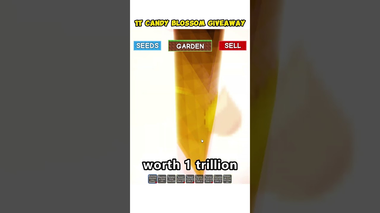 GIVEAWAY A CANDY BLOSSOM TO A LUCKY SUBSCRIBER 