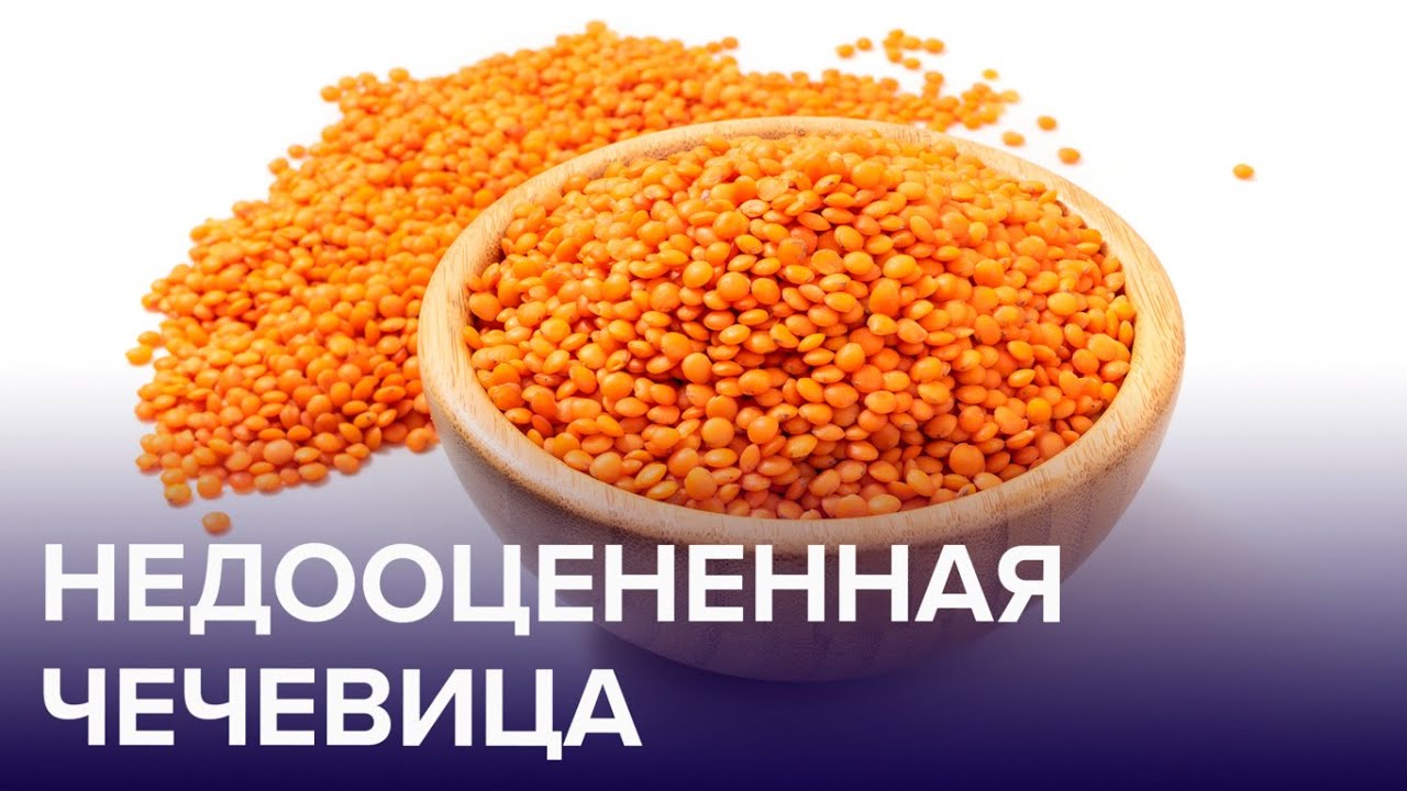 Чем полезна ЧЕЧЕВИЦА? Почему её важно есть тем, кто постоянно сидит в гаджетах? | Доктор 24